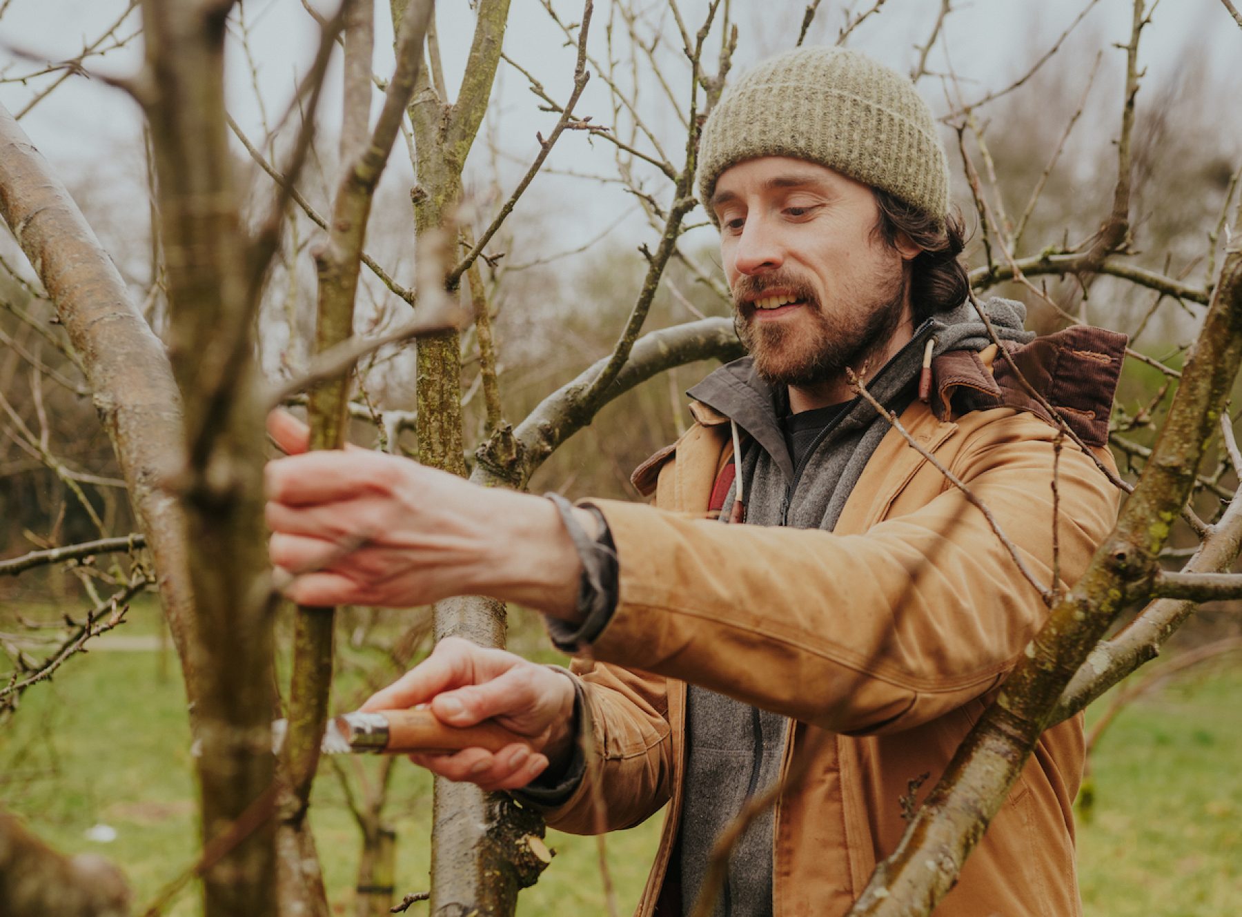 Plan je zasaditi voćnjake u svakom zatvoru u Engleskoj i Walesu