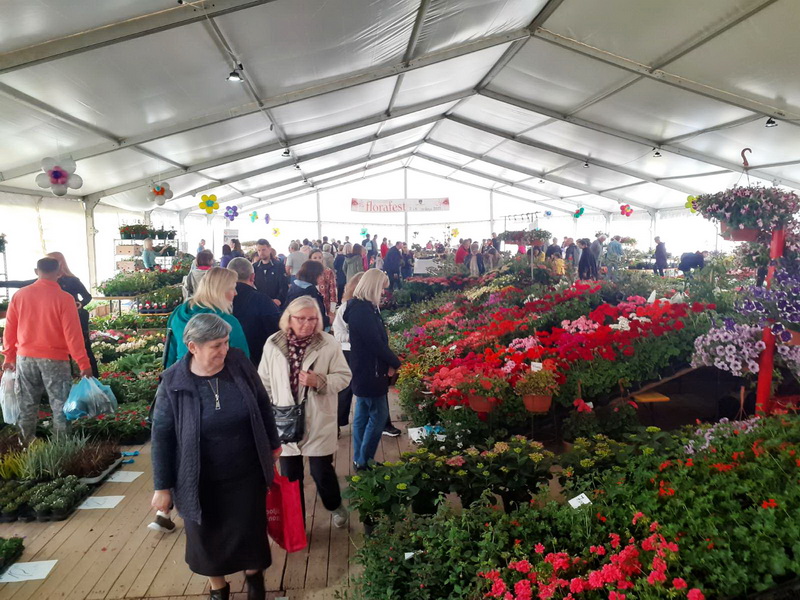 Nakon prošlogodišnjih 100 tisuća tulipana, u travnju je u Slavonskom Brodu posađeno novih 125 tisuća lukovica cvijeća