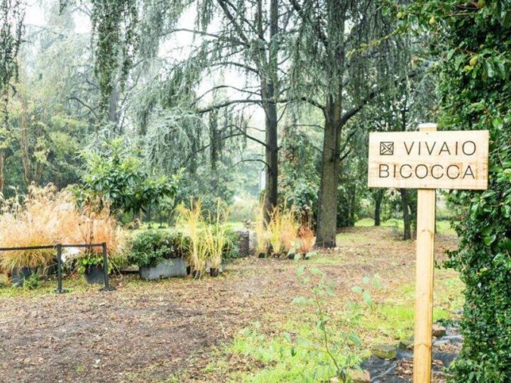 Milanski Vivaio Bicocca: od zelenih površina do urbanog ekosustava