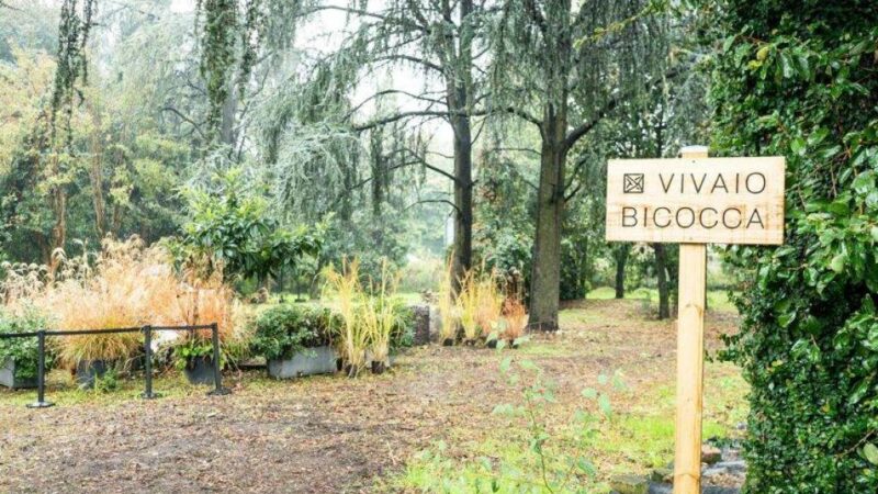 City Forest Credits: Koliko jedno stablo vrijedi za grad?