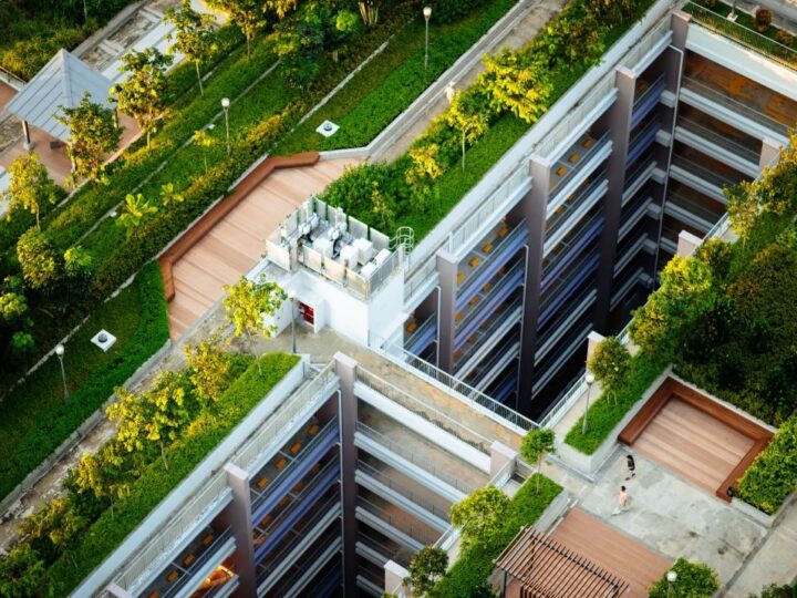 Novi zakon u Francuskoj: Zeleni krovovi obavezni na svim novim poslovnim zgradama