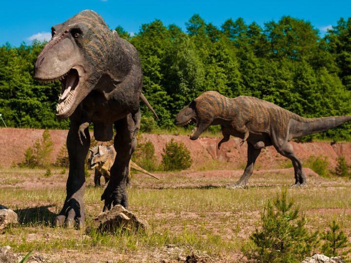 Otkrivena je nova vrsta dinosaura pomoću 98 milijuna godina starog fosila