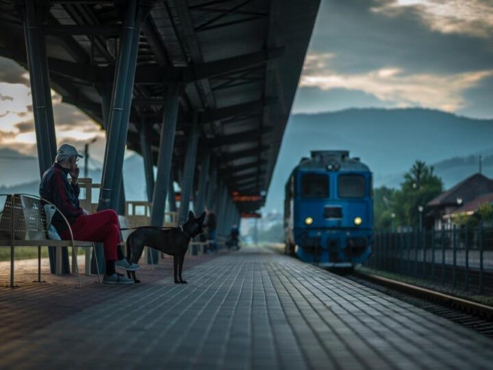 Ovo ljeto se kućni ljubimci besplatno voze talijanskim vlakovima