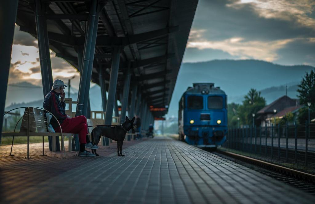 Ovo ljeto se kućni ljubimci besplatno voze talijanskim vlakovima