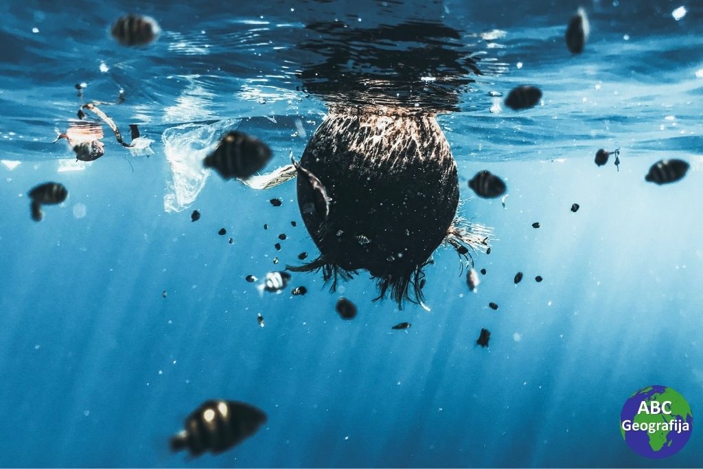 Plutajući osmi kontinent – more plastike