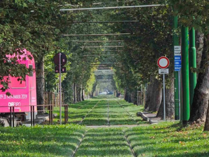 Suho i sunčano: Kako rashladiti pregrijane gradove?