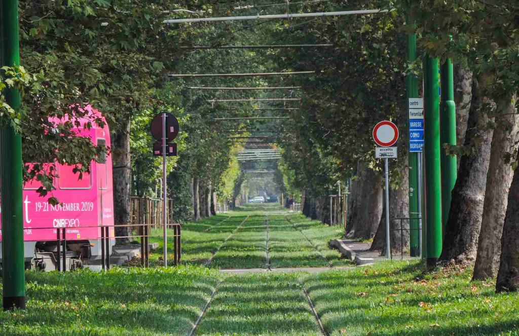 Suho i sunčano: Kako rashladiti pregrijane gradove?