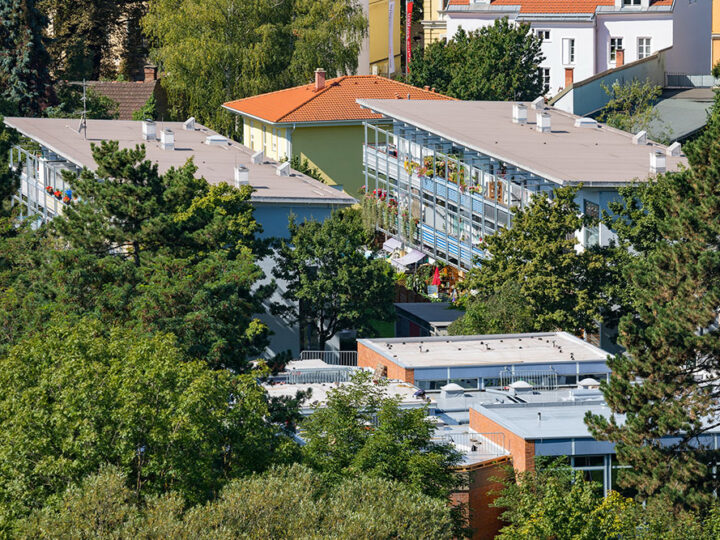 Austrijski grad koristi digitalnog blizanca za upravljanje svojim urbanim stablima