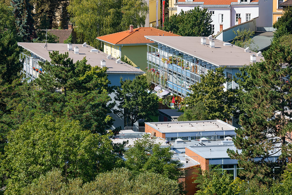 Austrijski grad koristi digitalnog blizanca za upravljanje svojim urbanim stablima