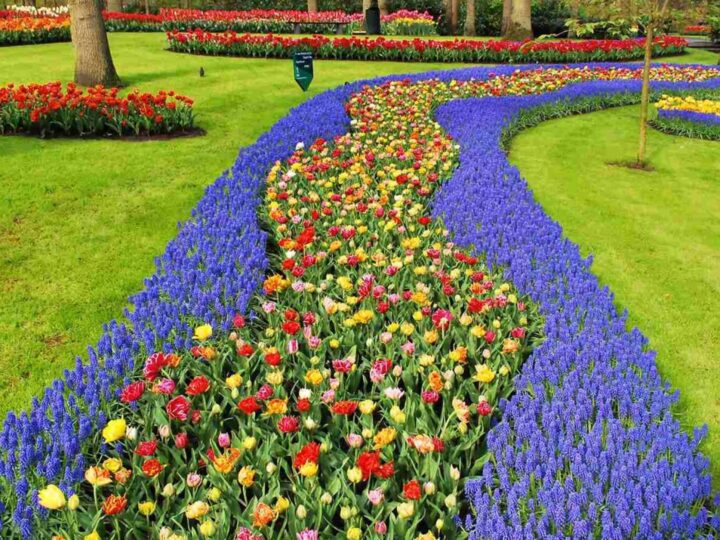 Europa ima tri od deset najljepših javnih vrtova na svijetu, prema ocjenama turista