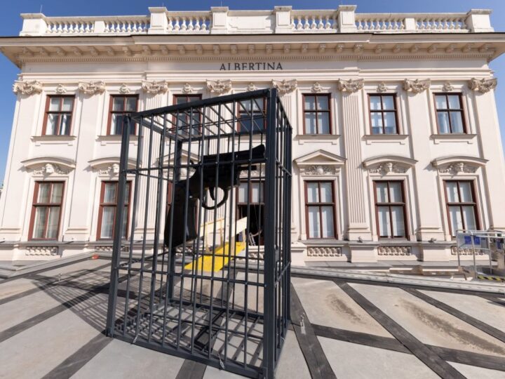 Instalacija hrvatskog umjetnika krasi bečku Albertinu