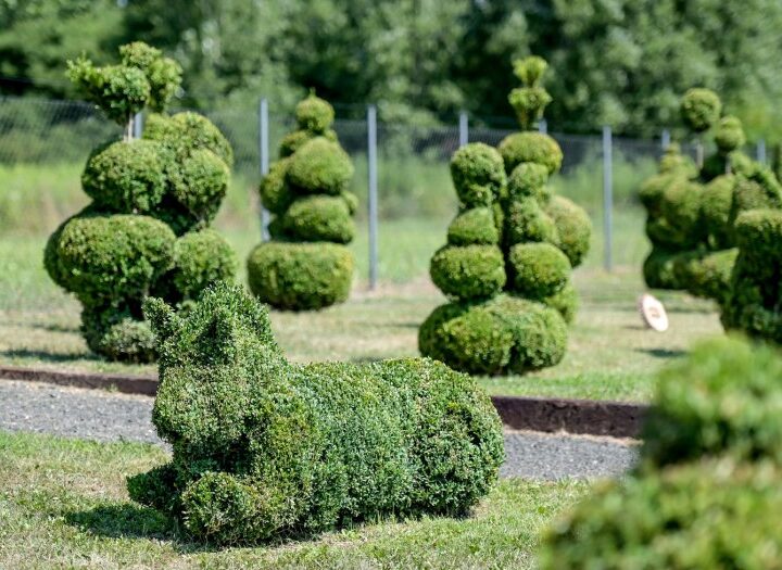 Otvoren jedinstveni tematski Topiary park u ovom dijelu Europe