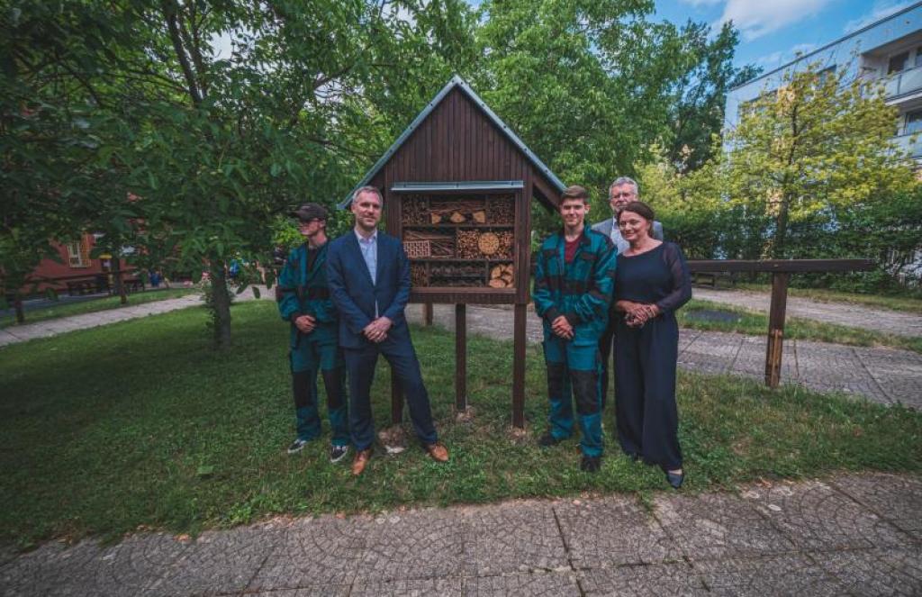 PRAG MUDRO KORISTI POSJEČENA STABLA: Prag je od svog božićnog drvca napravio hotel za kukce i javne police za knjige