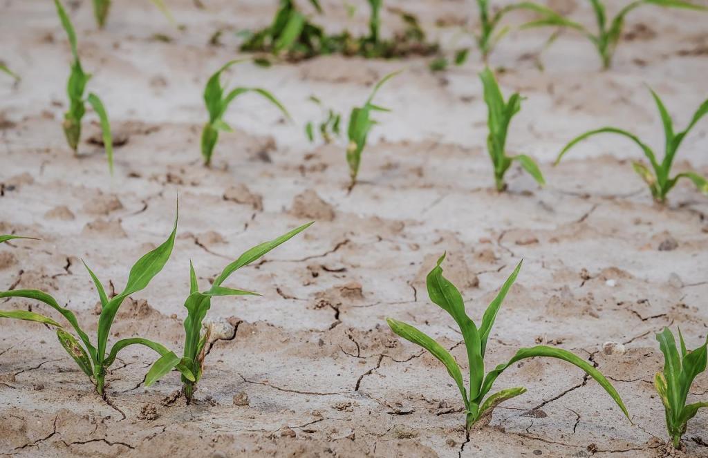 Sjeverna Italija uvodi izvanredno stanje zbog suše