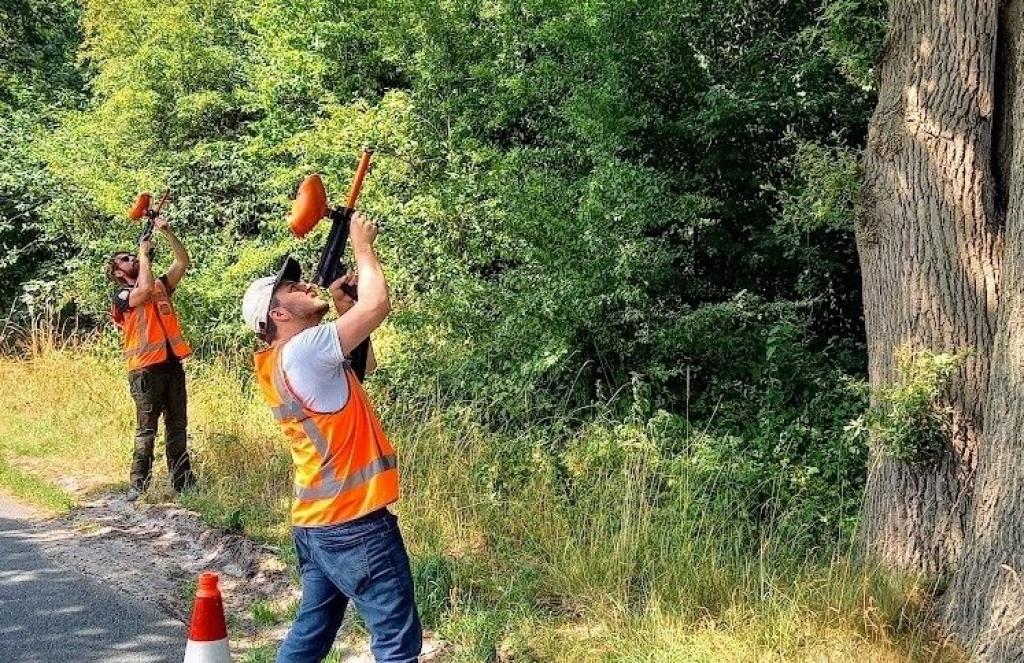 ZNANOST POMAŽE PRIRODI: Nizozemska koristi novo znanstveno potkrijepljeno oružje protiv hrastovog moljca