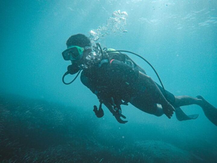 Danski ronioci se bore protiv klimatskih promjena sadnjom morske trave pod vodom