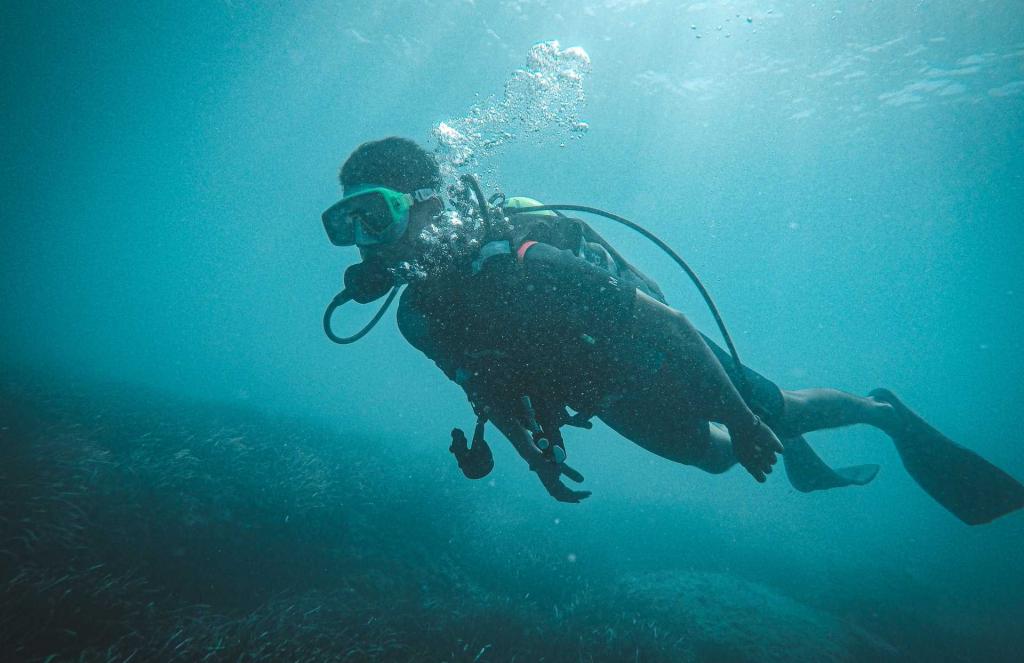 Danski ronioci se bore protiv klimatskih promjena sadnjom morske trave pod vodom