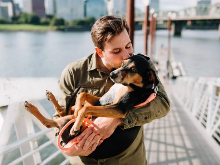 Digitalizacija i za pse: Hamburg pokreće platformu za vlasnike kućnih ljubimaca kako bi im olakšao život