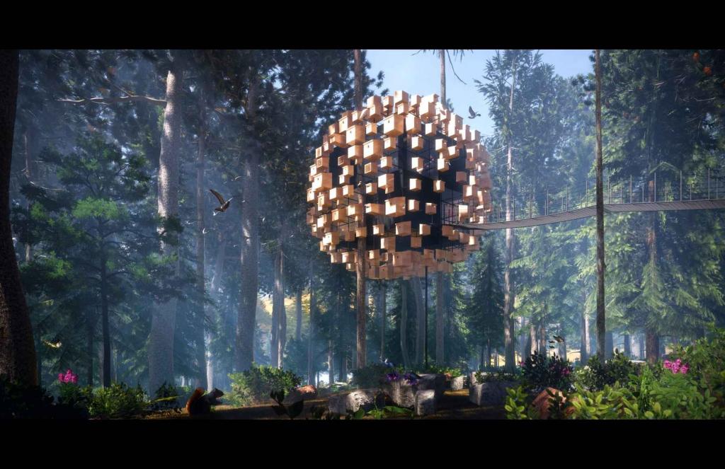 Hotelska soba u krošnjama drveća ujedno spašava lokalnu populaciju ptica