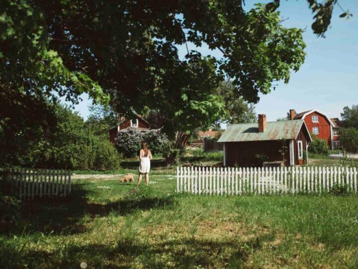 Parkovi prirode u Švedskim dvorištima?