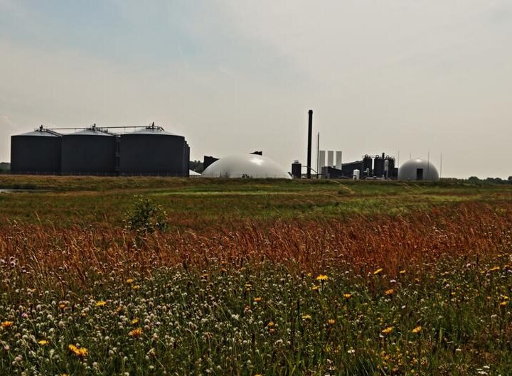 Procvat bioplina u Danskoj – a kako je u Njemačkoj?