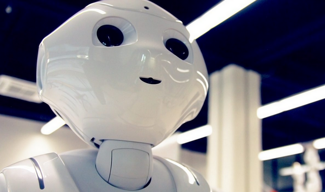 Student u Rijeci ‘od nule’ izradio svoj prvi humanoidni robot