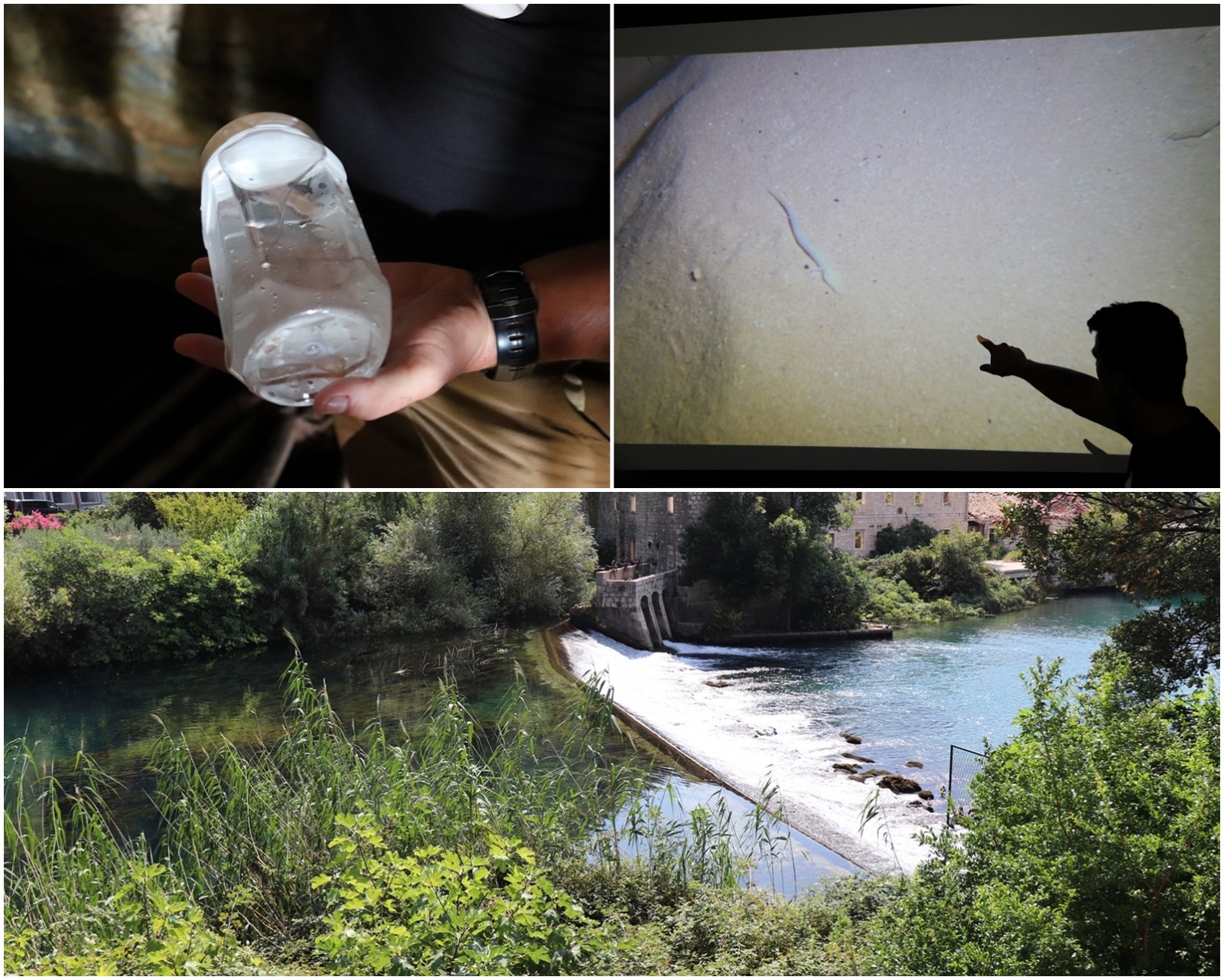 Istraživanjem izvorišta rijeke Omble pronađena je čovječja ribica!