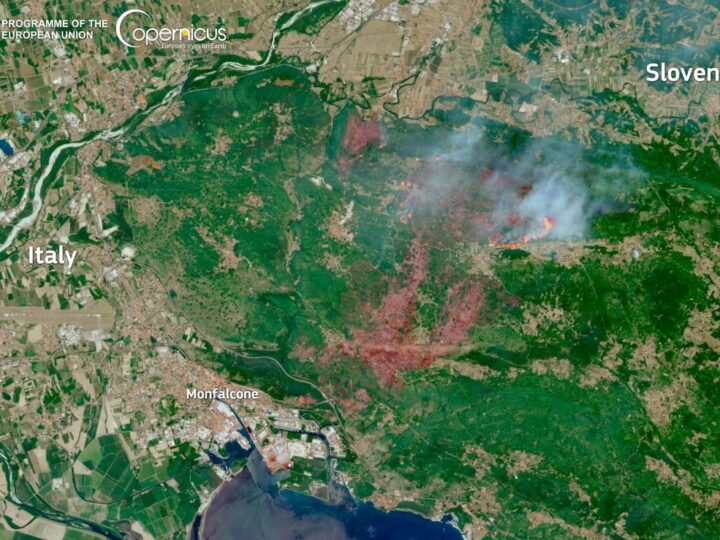 Dronovi bi mogli ponovno ozeleniti slovenski Kras nakon nedavnih katastrofalnih šumskih požara