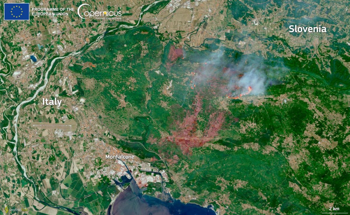 Dronovi bi mogli ponovno ozeleniti slovenski Kras nakon nedavnih katastrofalnih šumskih požara