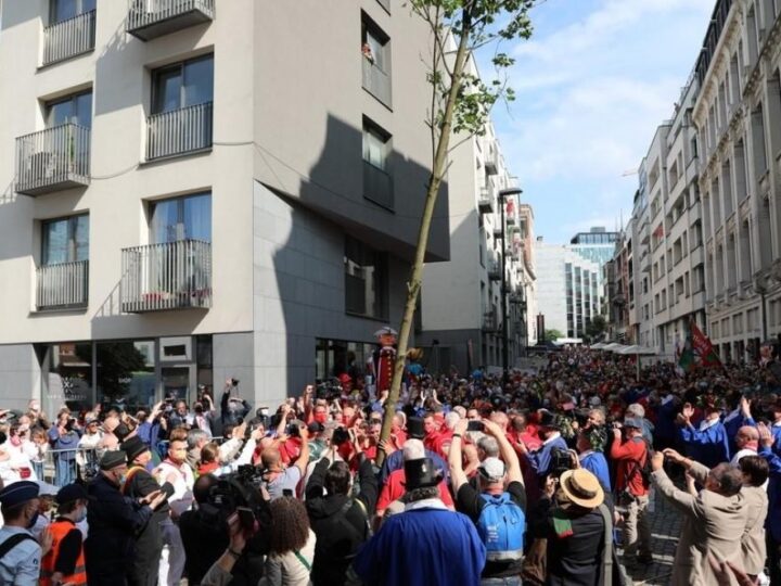 Postoji 700 godina stara svađa između Bruxellesa i Leuvena, a radi se o jednom stablu!