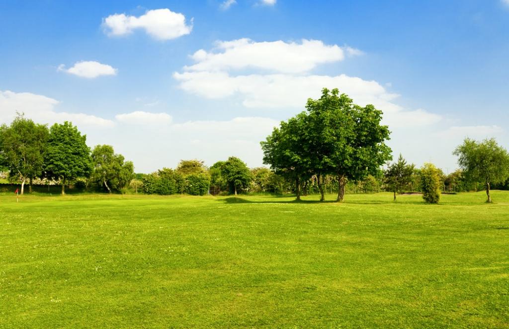 Poljski grad će skladištiti milijune litara vode pod zemljom za zalijevanje urbane vegetacije za vrijeme suše