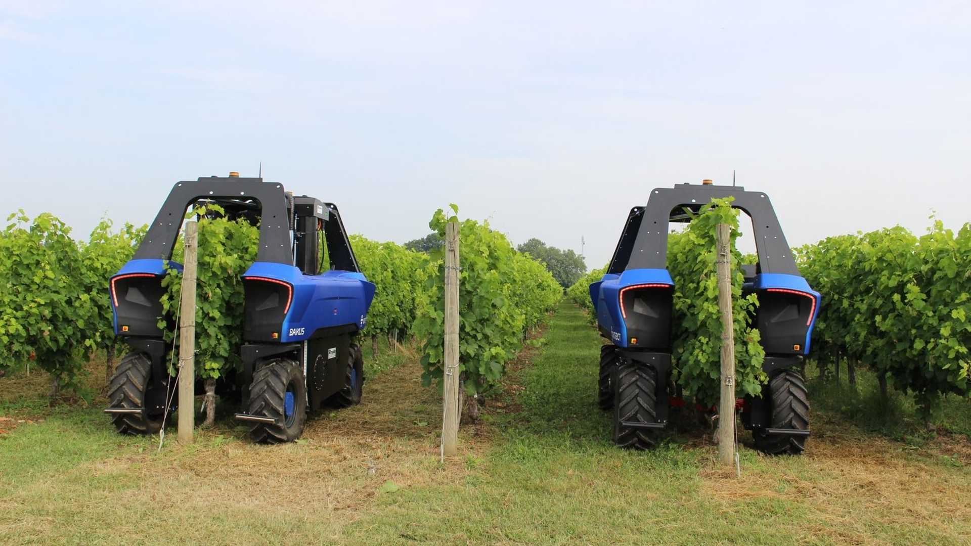 Autonomni robot koji sam održava cijeli vinograd