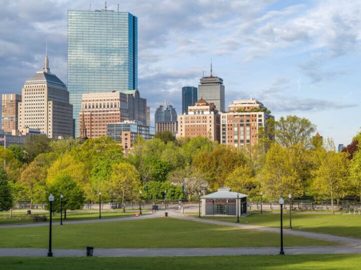 Boston objavljuje najnoviji krug potpora za sadnju drveća