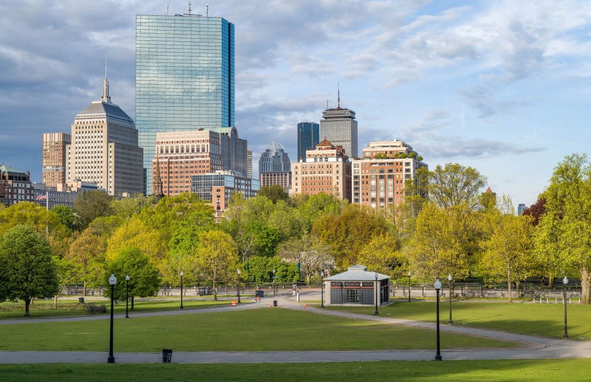 Boston objavljuje najnoviji krug potpora za sadnju drveća
