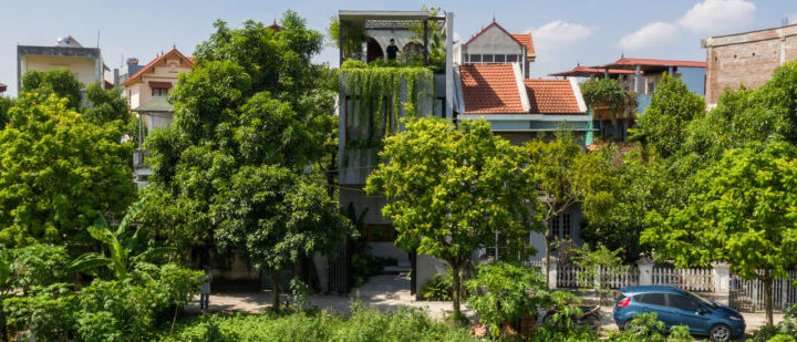 Svaka bi kuća trebala omogućiti suživot za ljude i biljke