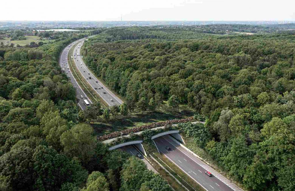 Zeleni most u Bruxellesu spojit će šumu i ukloniti prepreke za životinje