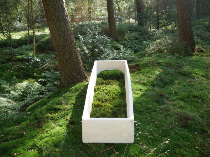 U Beču se pokojnici mogu sahraniti u biorazgradivom lijesu