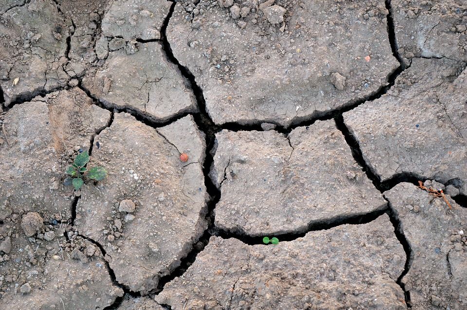 Imali smo najtoplije ljeto u posljednjih 140 godina – Doseglo je kritičnu granicu klimatskih promjena