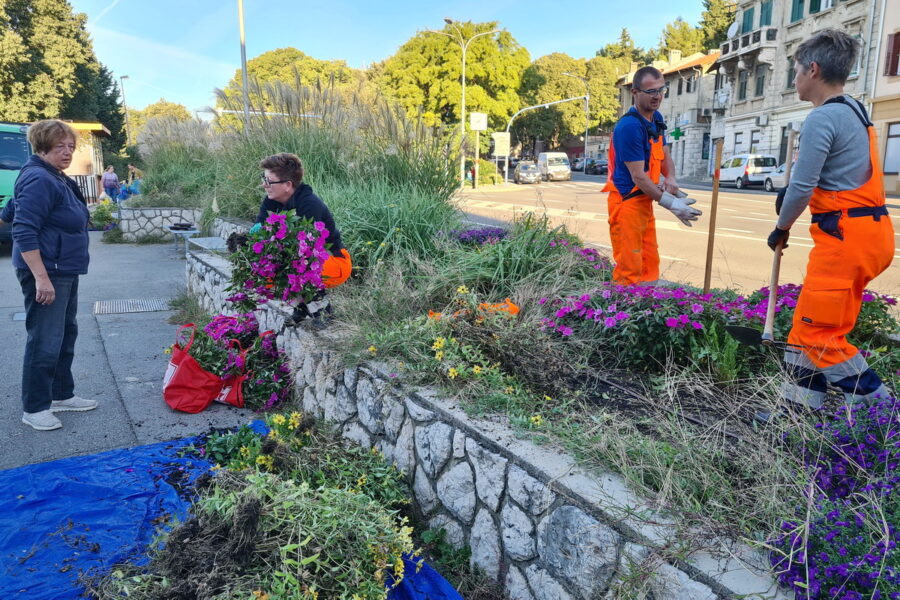 Riječanima dijeljene sadnice sa cvjetnih gredica