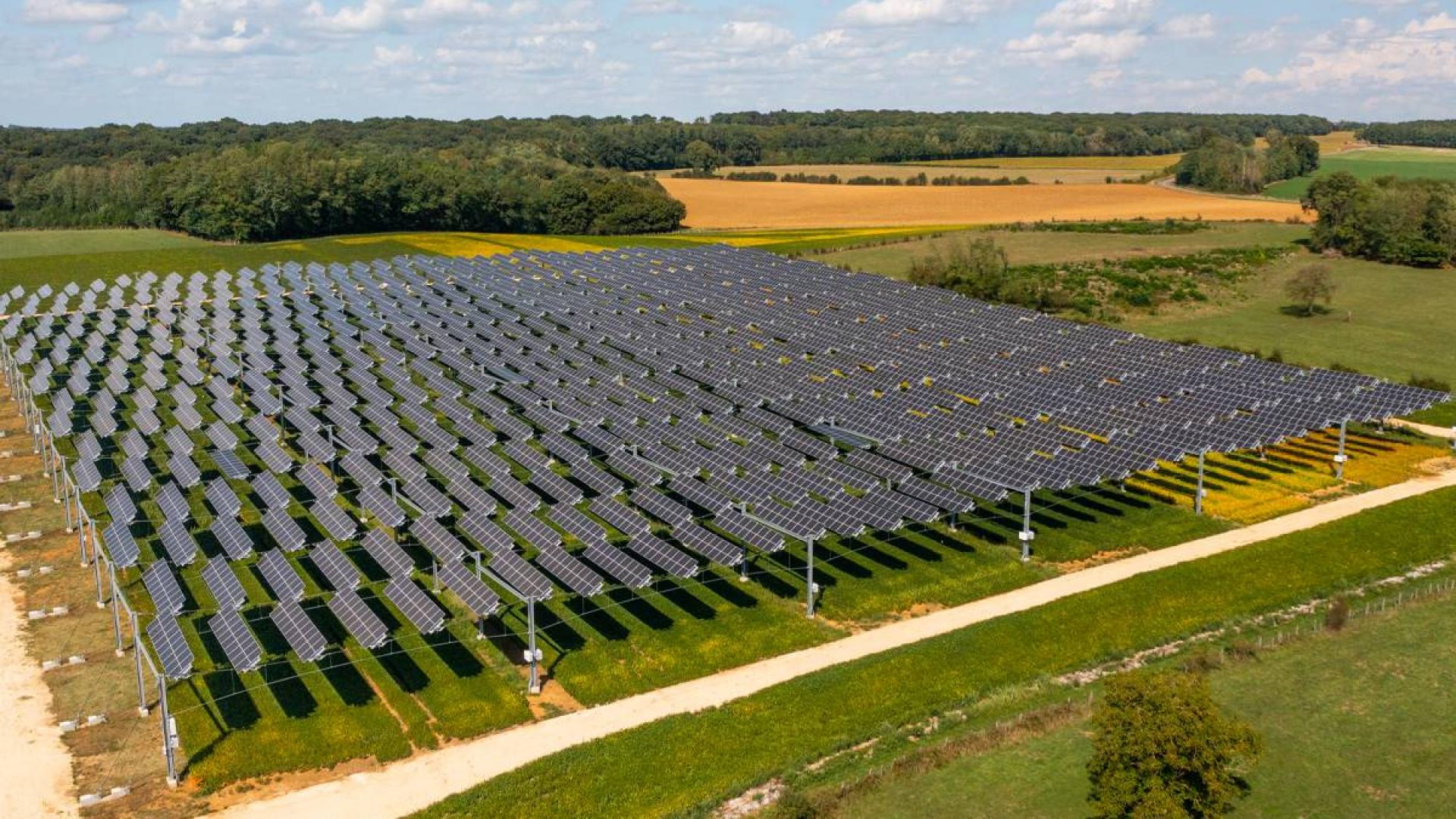 Pametni solarni paneli koji razumiju vremenske uvjete i omogućuju rast poljoprivrednih usjeva ispod njih