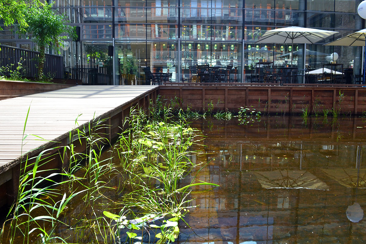 Evo zašto bi kiša mogla biti ključan resurs za zaštitu gradova od nestašice vode