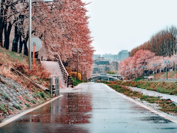Seul poduzima korake za ublažavanje učinaka urbanih toplinskih otoka