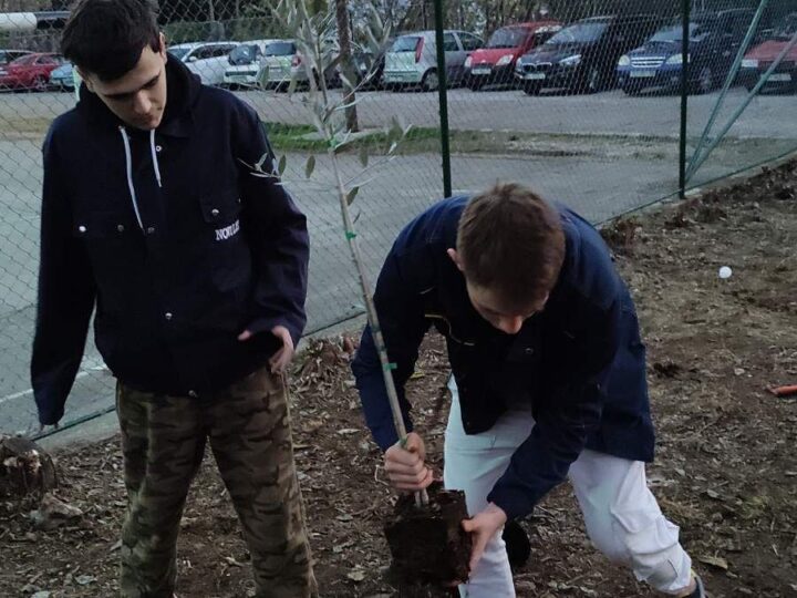 Zasadi stablo, ne budi panj! Nizozemski veleposlanik donirao masline