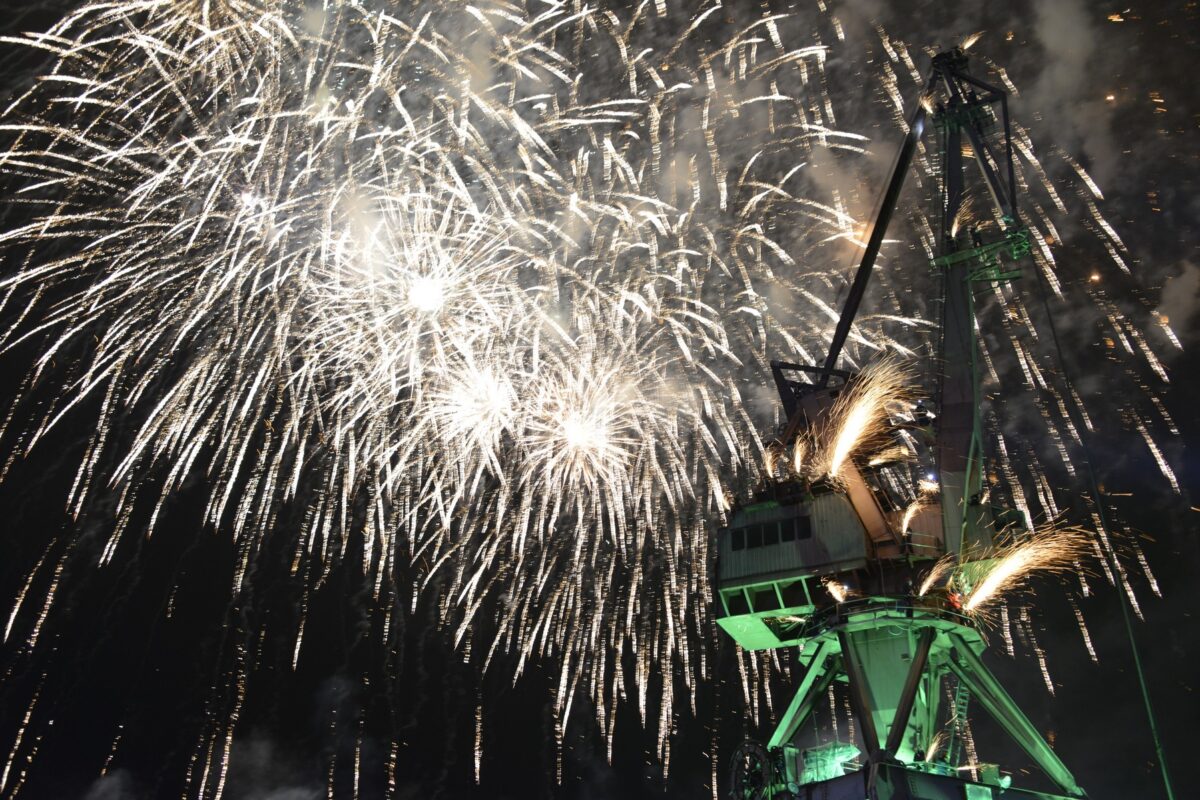 Grad Rijeka odustaje od novogodišnjeg vatrometa u korist životinja, ljudi i prirode