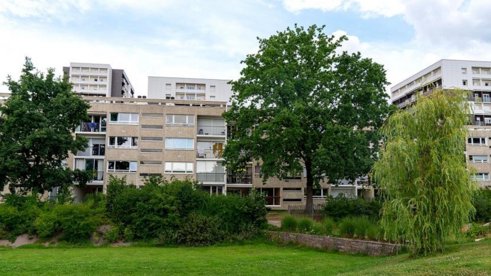 Upoznajte gradsko drveće u Rennesu uz pomoć interaktivne karte