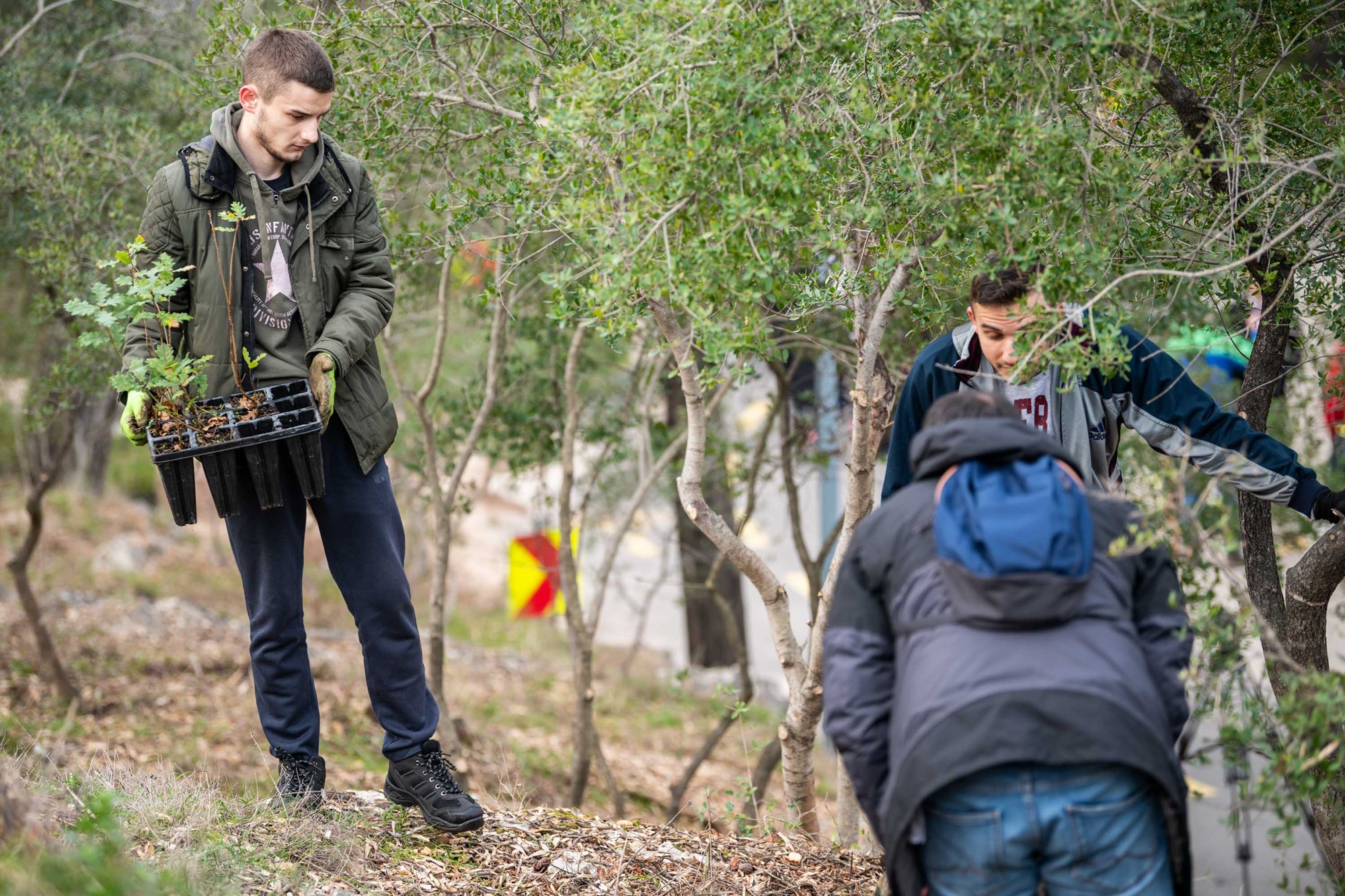 ZELENI SPLIT: Započela sadnja i uređenje Park šume Marjan