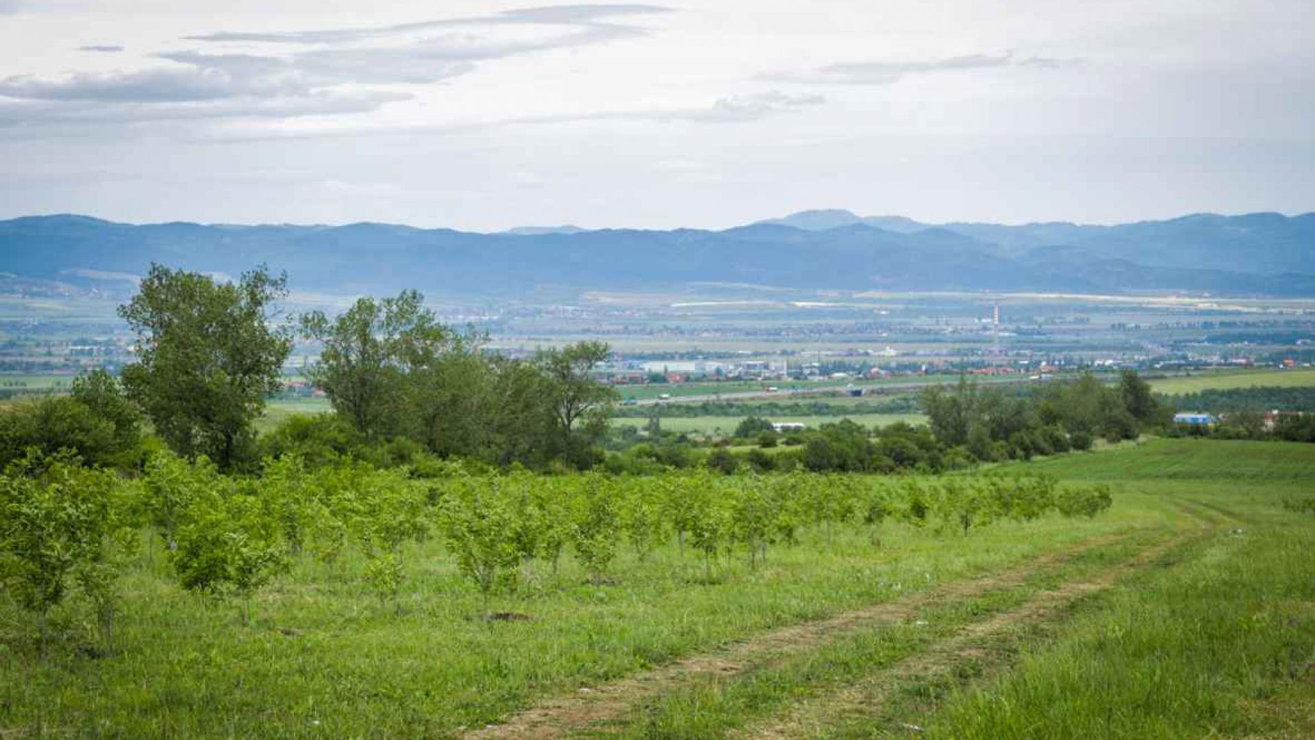 Sofija sadi novu gradsku šumu