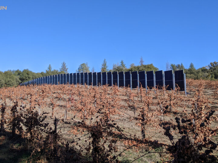 Vertikalne solarne ploče mogle bi spasiti poljoprivredno zemljište i transformirati poljoprivredu