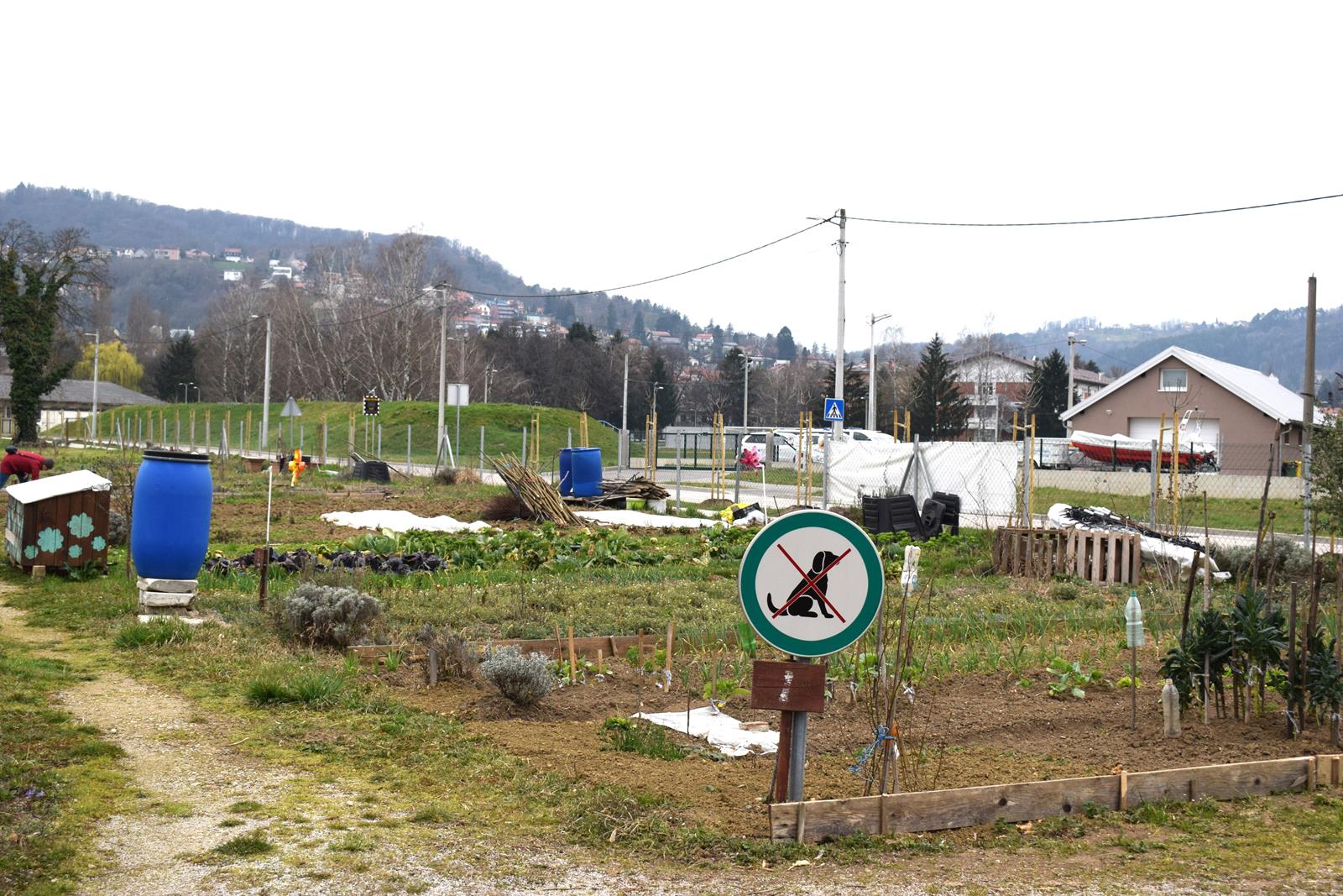 Gradske vrtove u Samoboru besplatno koristi 76 građana