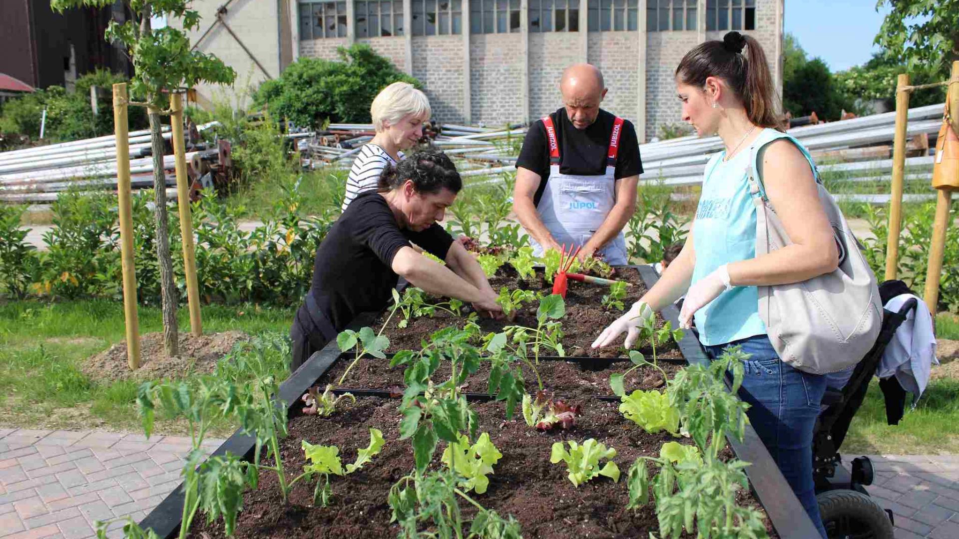Neravnomjeran teret klimatskih promjena u gradovima